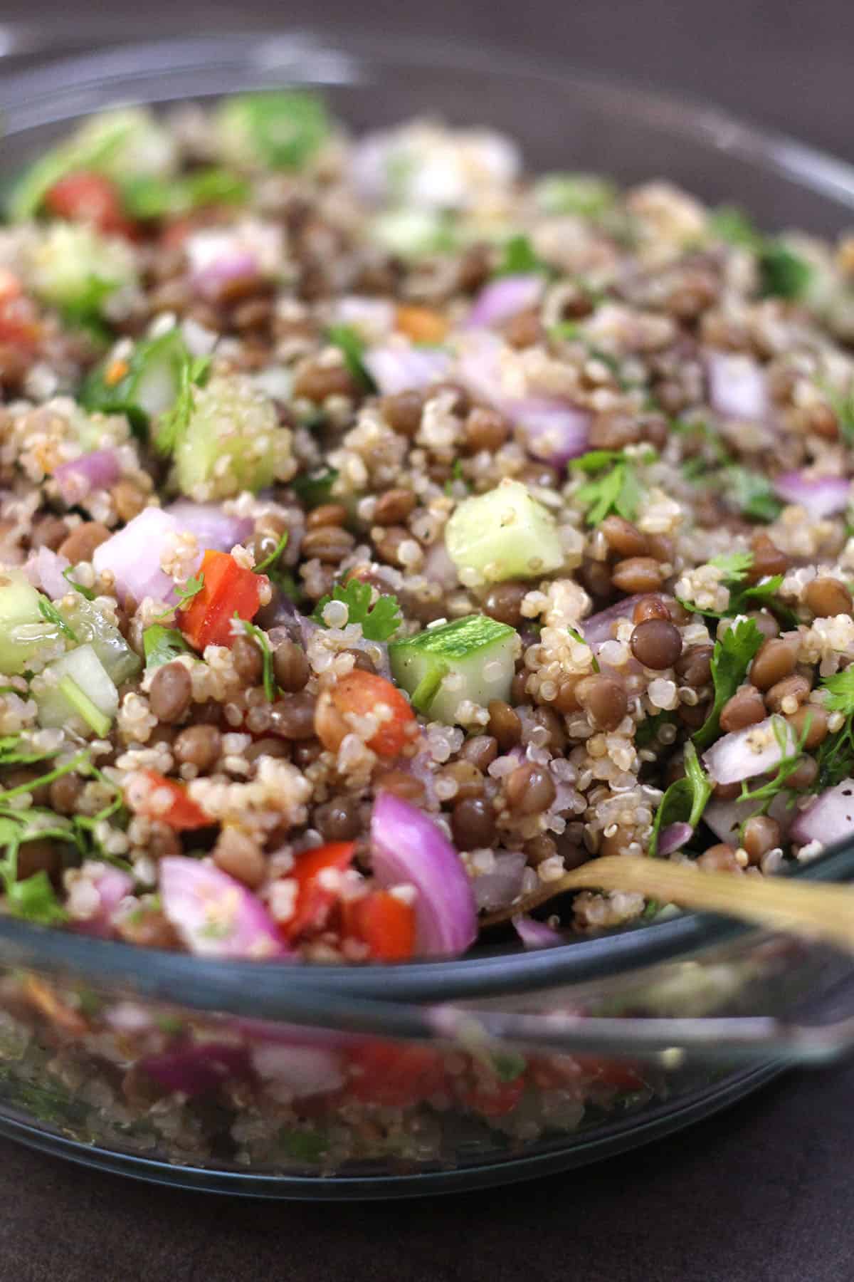 Oil-free salad with quinoa, lentils and fresh veggies. 