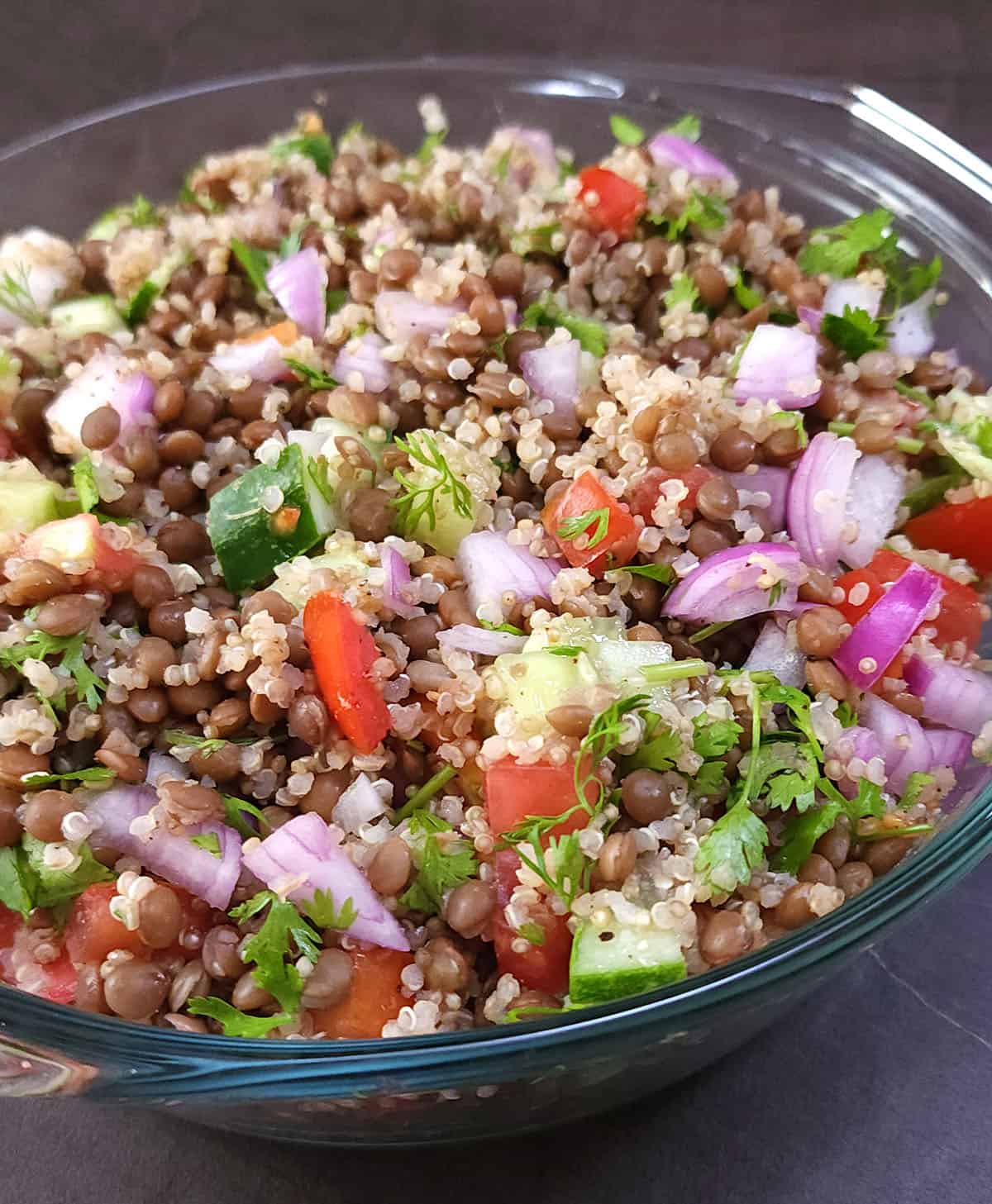 Plant based protein, vegan and gluten fee salad recipe with quinoa and lentils. 