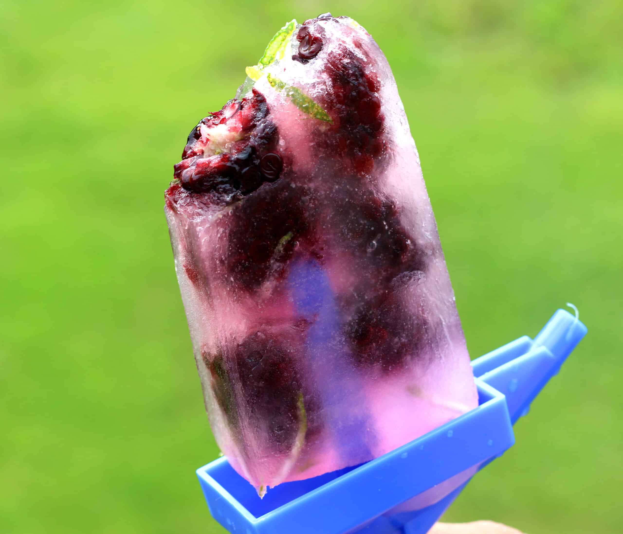 Lolly or popsicle with lemonade and blackberries. Best summer dessert.
