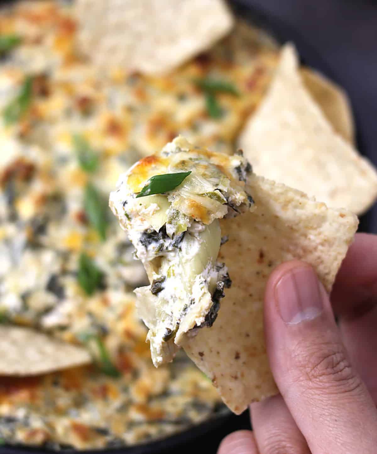 Holding creamy and cheesy spinach artichoke dip with tortilla chips. 