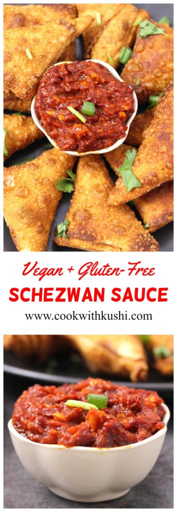 Schezwan Sauce Recipe / Indo-Chinese Recipe / SPicy Sauce Recipe / Hot Sauce Recipe / Pary Foods / Indian Food recipes / Schezwan Chicken / Gluten Free Recipes / Vegan Recipes / Homemade Sauce / Dip Recipes / SPicy Condiments for fries and chips