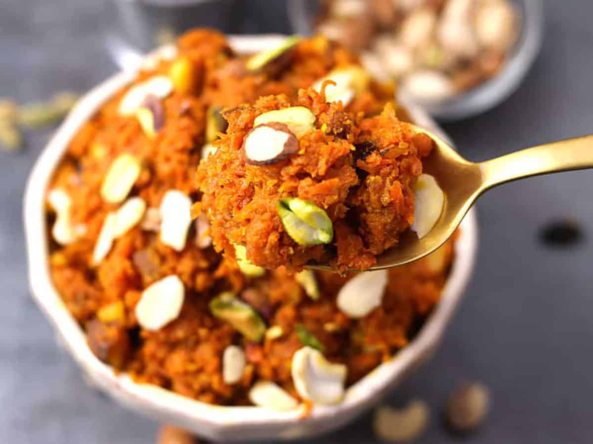 holding spoon of rich and classic Indian sweet carrot halwa 
