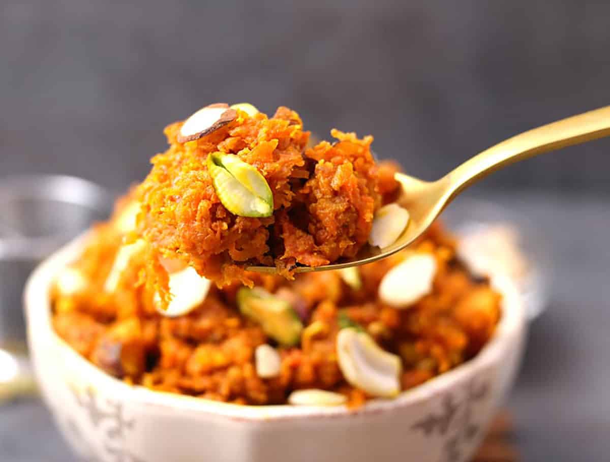 Holding spoon of rich carrot halwa or gajar halwa made with condensed milk 