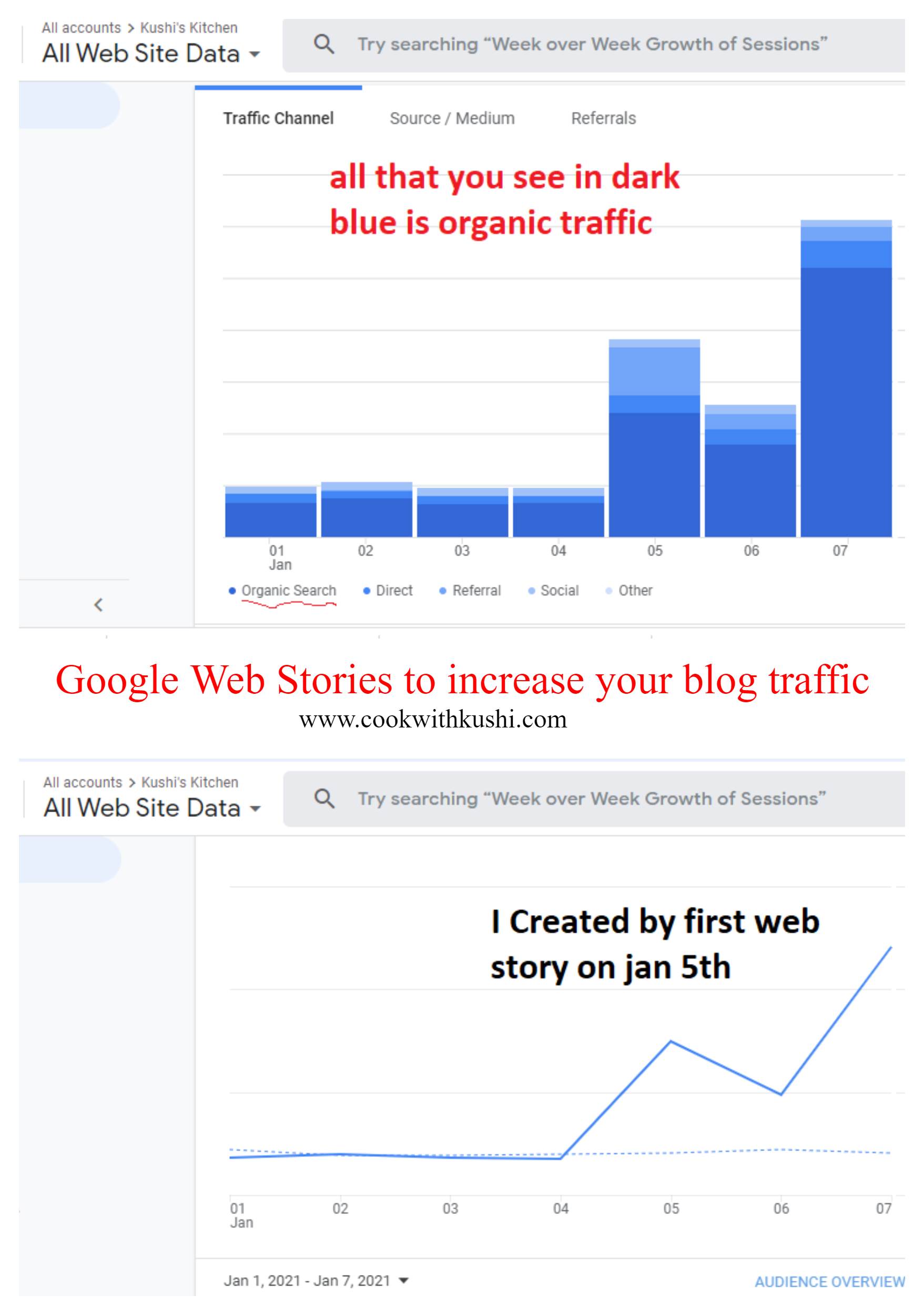 Google Web Stories to increase blog traffic, grow organically and monetize your blog fast.
