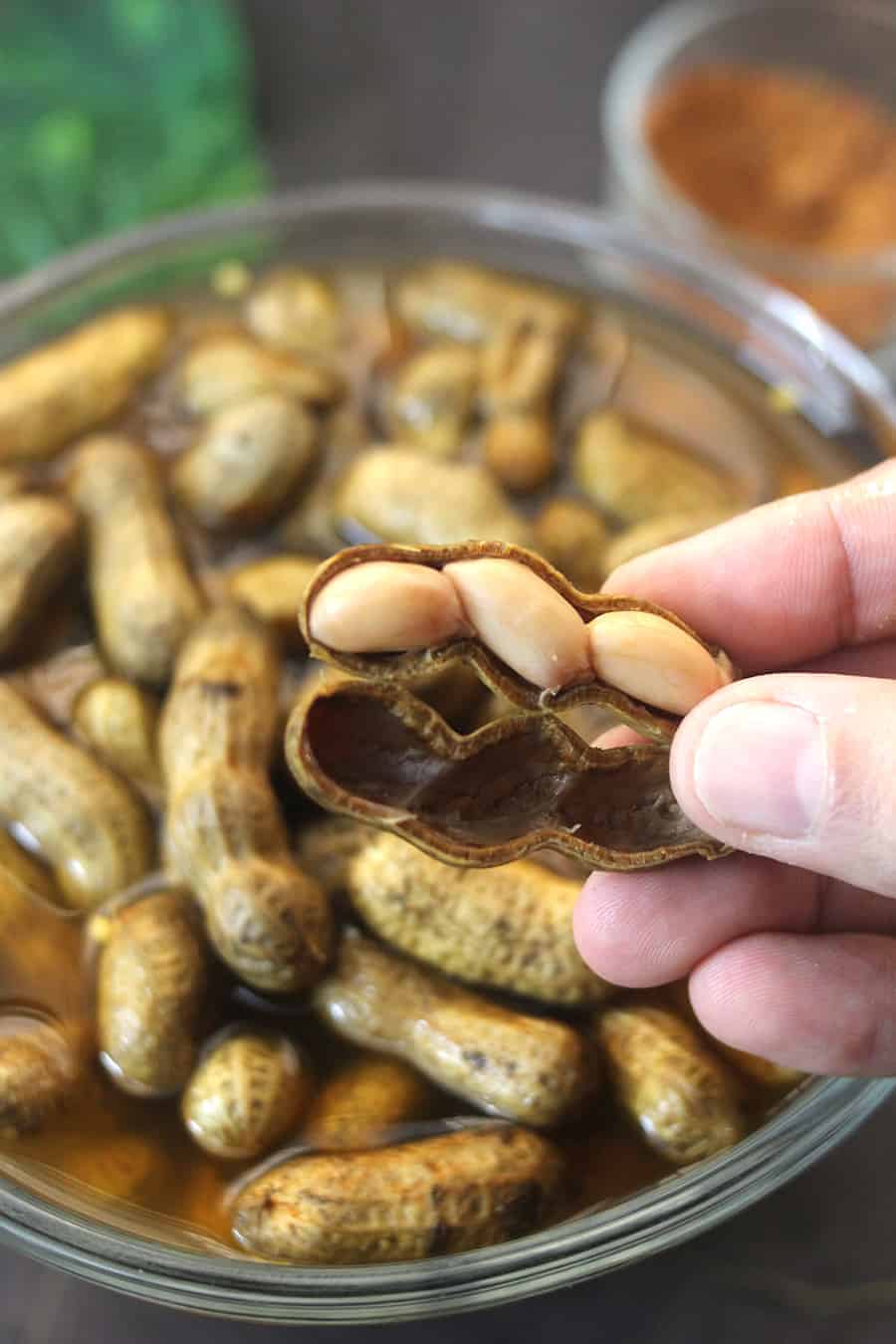 cajun boiled peanuts recipe, how to make cajun boiled peanuts #pressurecooker #instantpot #crockpot