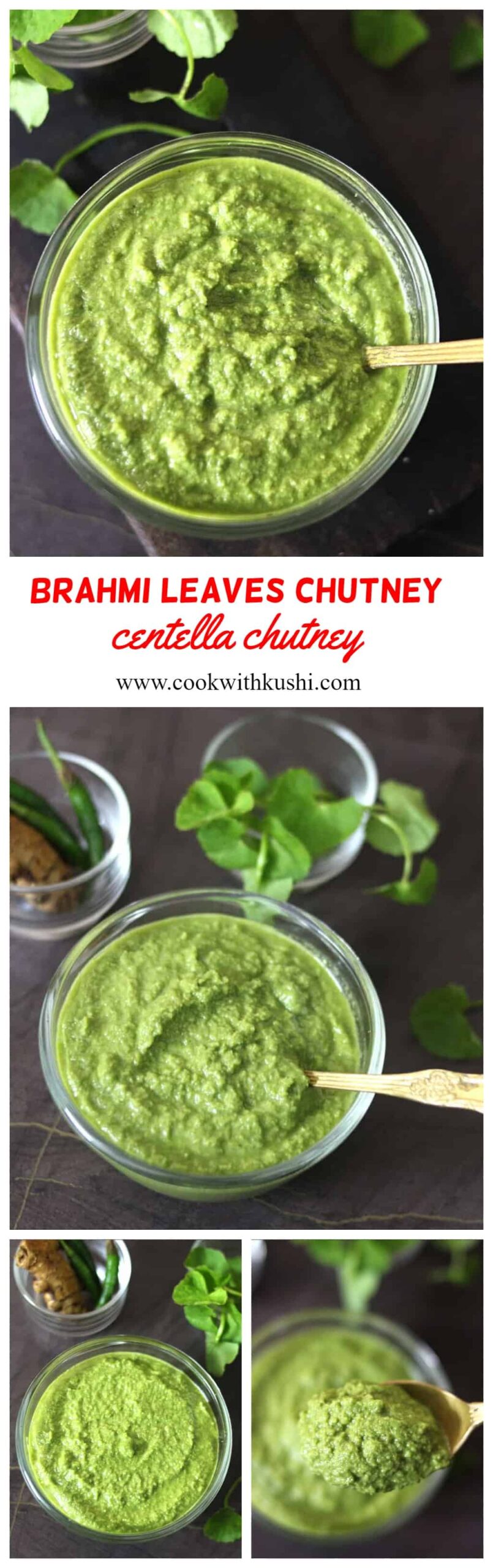 How to make brahmi leaves chutney #Ondelagasoppu #timare #ekpani