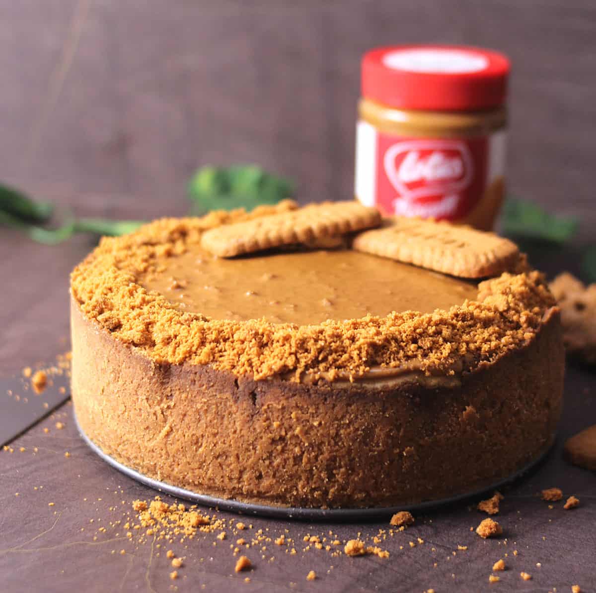 Best lotus biscoff cheesecake with biscoff crust and cookie butter filling 