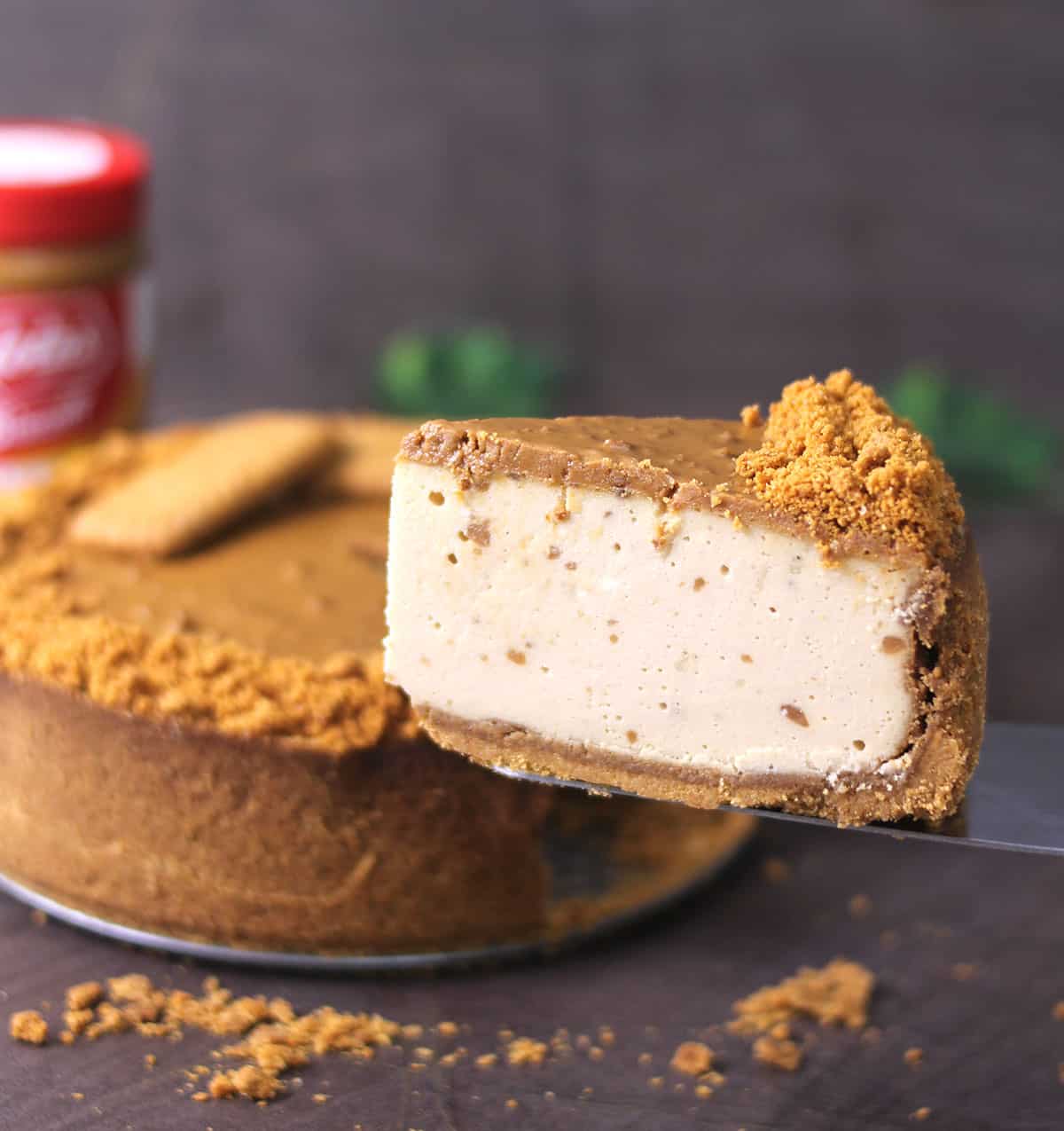 Holding perfectly sliced cheesecake with biscoff crust and cookie butter filling, topping