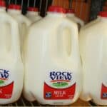 One Gallon Milk Jugs, where 1 Gal is equal to 3.7854 Lts.