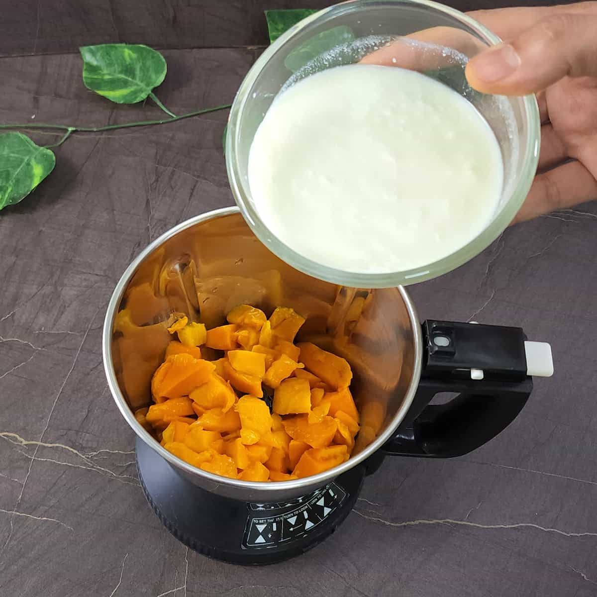 Adding whole-milk yogurt (curd or dahi.) to the blender 