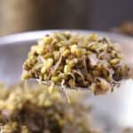 Mung Bean Sprouts Stir Fry - Protein packed recipe for breakfast, lunch and light dinner.